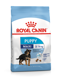 Royal Canin Maxi Puppi