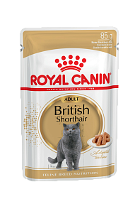 Royal Canin British Shorthair