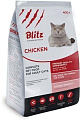 Blitz adult kitten Chicken