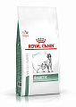 Royal Canin VetDiets Diabetic DS