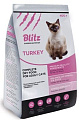 Blitz adult cat Turkey