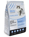 Blitz adult cat Sterilised